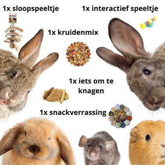Premium - Verrassingspakket Knaagdier